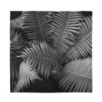 Black And White Fern Leaf Print Silk Bandana