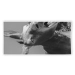 Black And White Funny Donkey Print Beach Towel