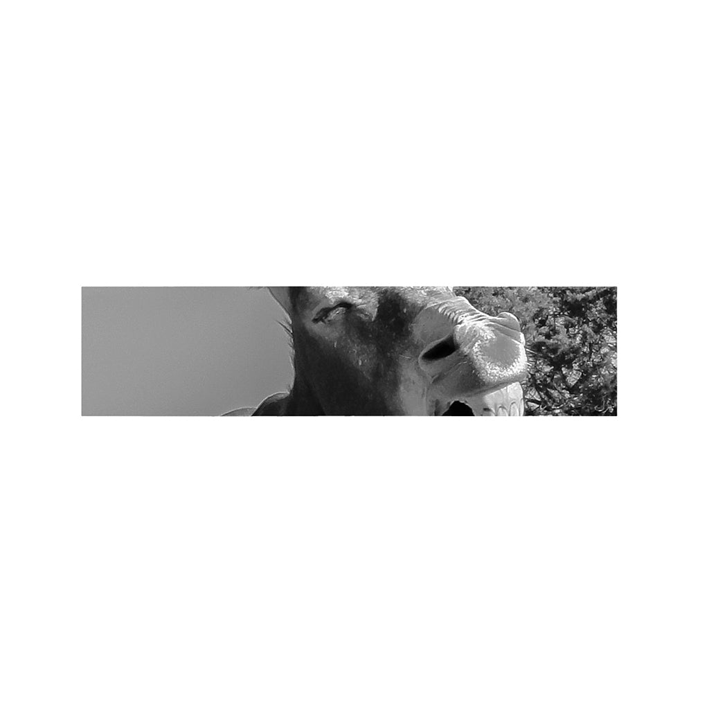 Black And White Funny Donkey Print Bed Runner