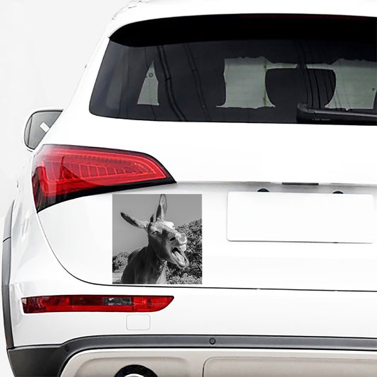 Black And White Funny Donkey Print Car Sticker