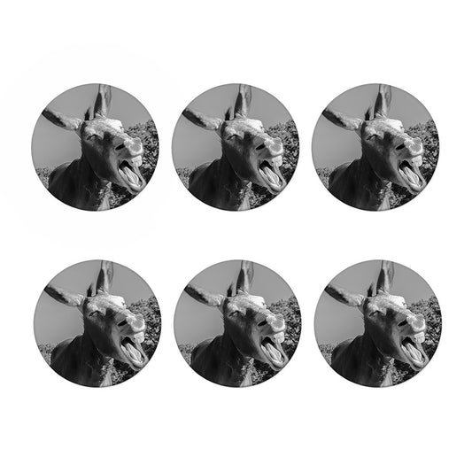 Black And White Funny Donkey Print Coaster Set
