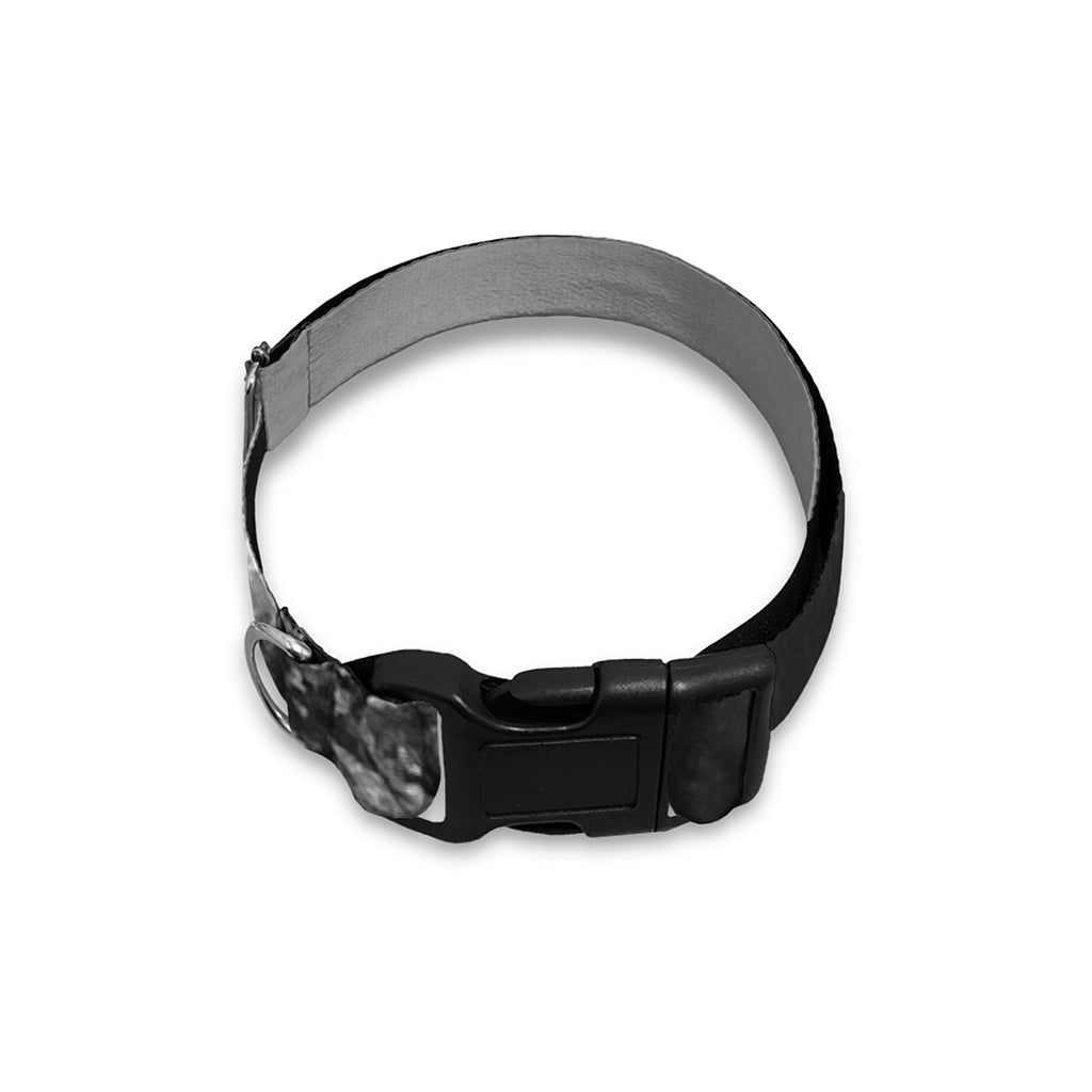 Black And White Funny Donkey Print Dog Collar