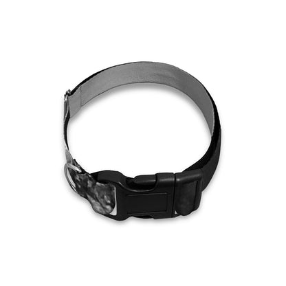 Black And White Funny Donkey Print Dog Collar