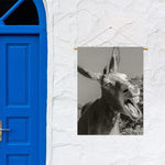 Black And White Funny Donkey Print Garden Flag