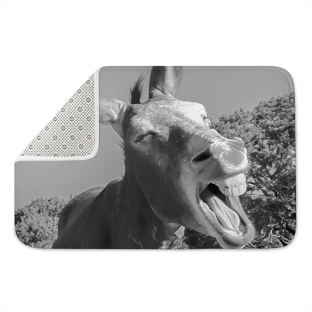 Black And White Funny Donkey Print Indoor Door Mat