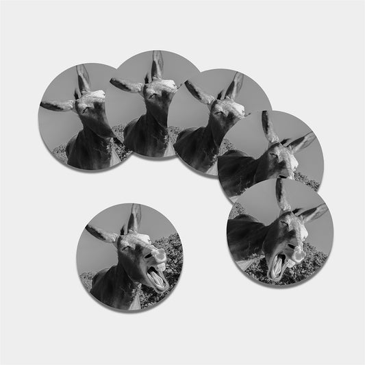 Black And White Funny Donkey Print Leather Coaster Set