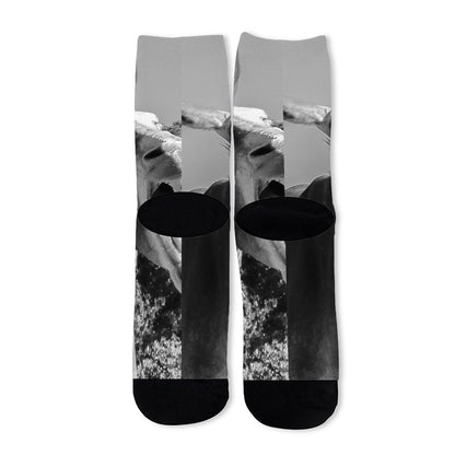 Black And White Funny Donkey Print Long Socks