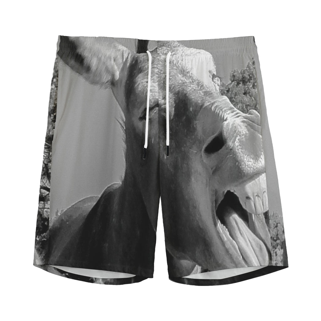 Black And White Funny Donkey Print Men's Sports Shorts
