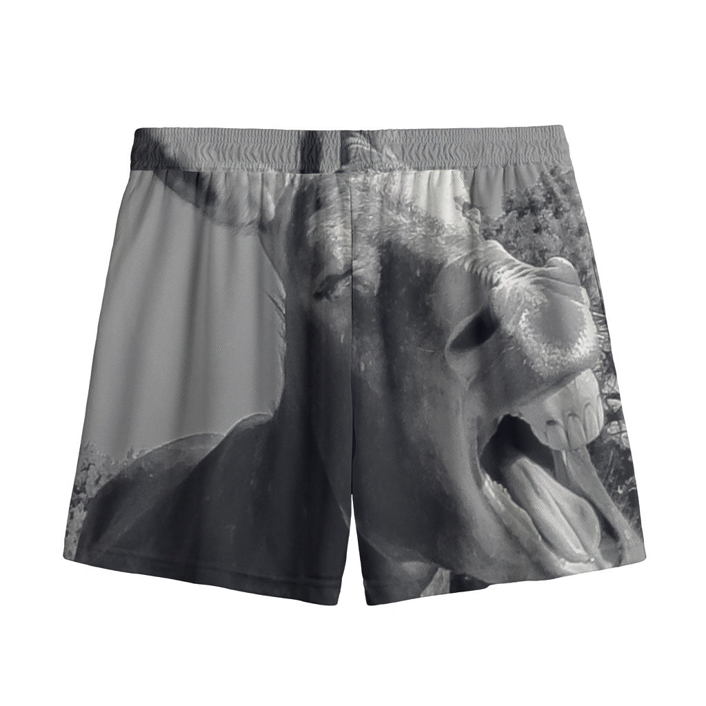 Black And White Funny Donkey Print Mesh Shorts
