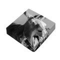 Black And White Funny Donkey Print Outdoor Seat Cushion Cover