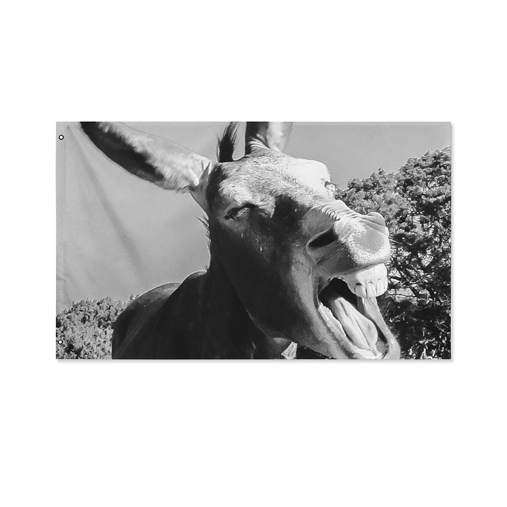 Black And White Funny Donkey Print Polyester Flag