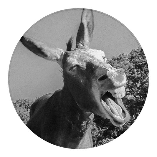 Black And White Funny Donkey Print Round Blanket