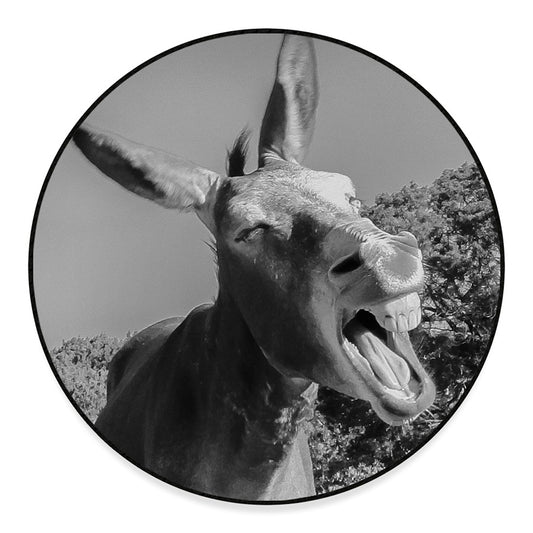 Black And White Funny Donkey Print Round Floor Mat