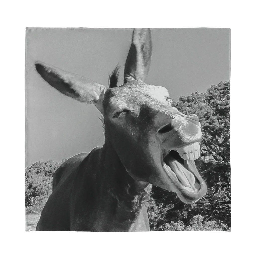 Black And White Funny Donkey Print Silk Bandana