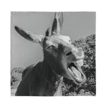 Black And White Funny Donkey Print Silk Bandana