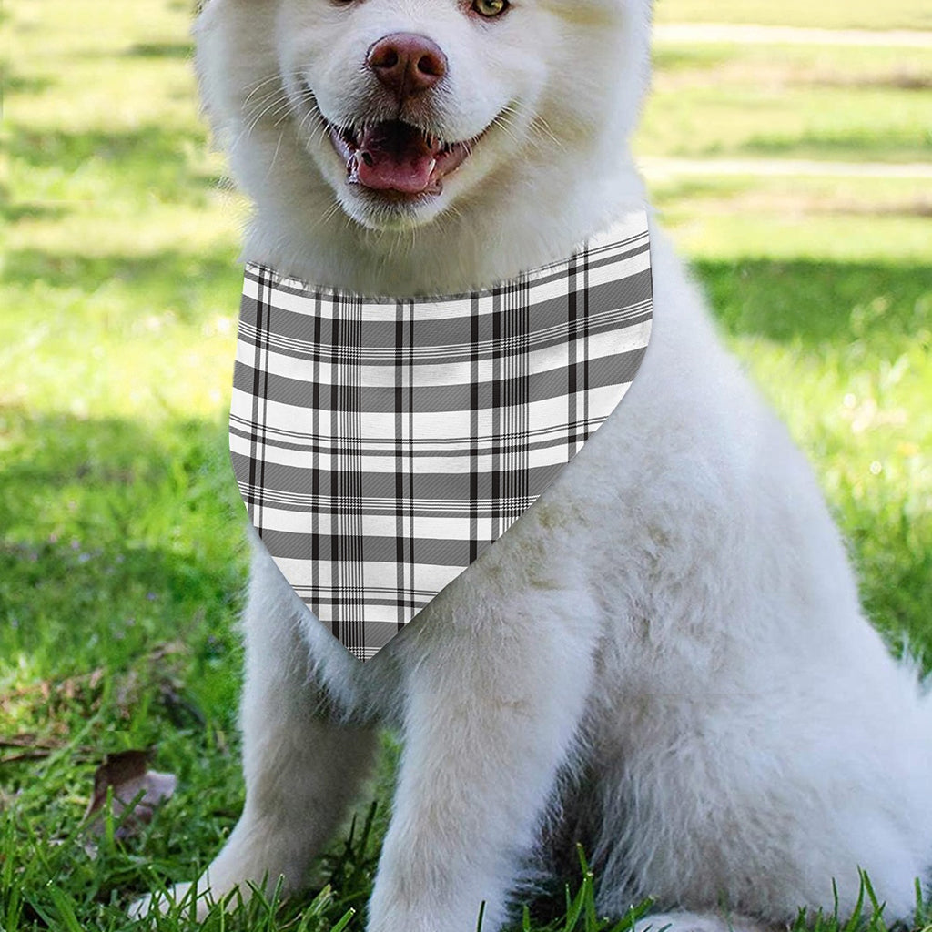 Black And White Madras Pattern Print Over The Collar Dog Bandana
