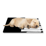 Black And White Piano Keyboard Print Pet Cooling Mat Cover