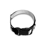 Black And White Radial Rays Print Dog Collar