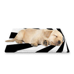 Black And White Radial Rays Print Pet Cooling Mat Cover