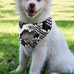 Black And White Snakeskin Print Over The Collar Dog Bandana