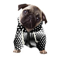 Black And White Spiral Dot Print Dog Zip Up Hoodie
