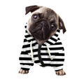 Black And White Striped Pattern Print Dog Zip Up Hoodie