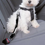 Black And White T-Rex Dinosaur Print Dog Seat Belt