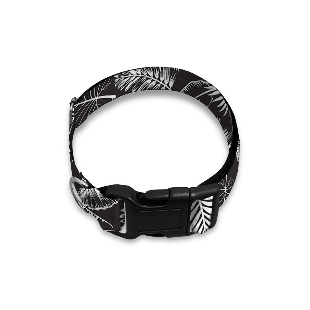 Black And White Tropical Palm Leaf Print Dog Collar