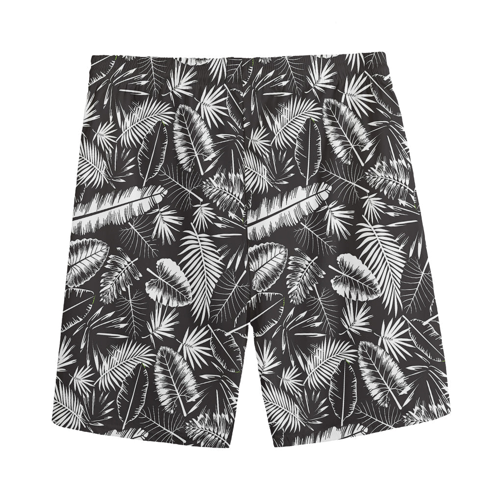 Black And White Tropical Palm Leaf Print Men's Sports Shorts