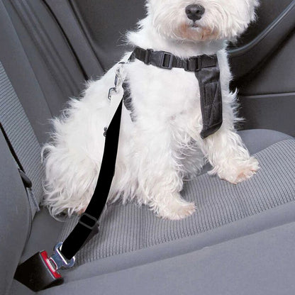 Black And White Vortex Swirl Print Dog Seat Belt