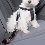 Black And White Wicca Evil Skull Print Dog Seat Belt