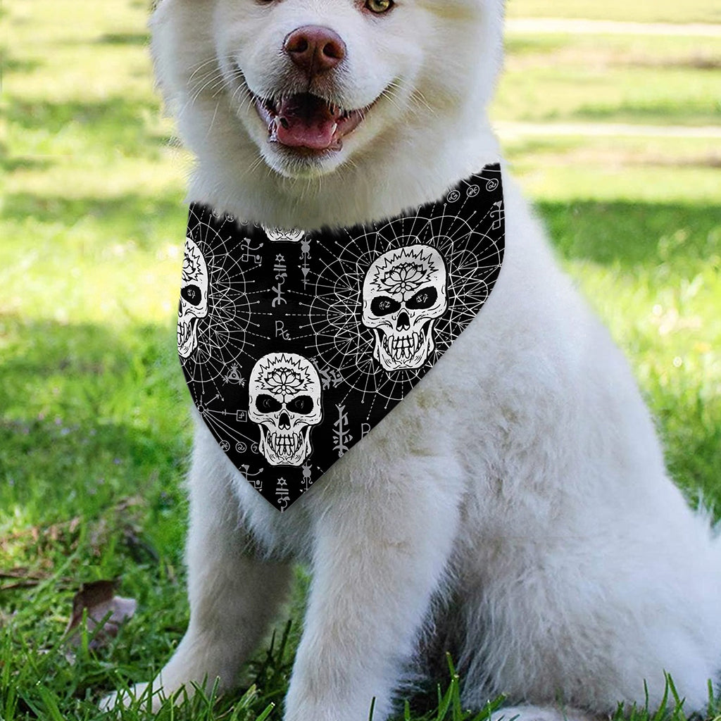 Black And White Wicca Evil Skull Print Over The Collar Dog Bandana