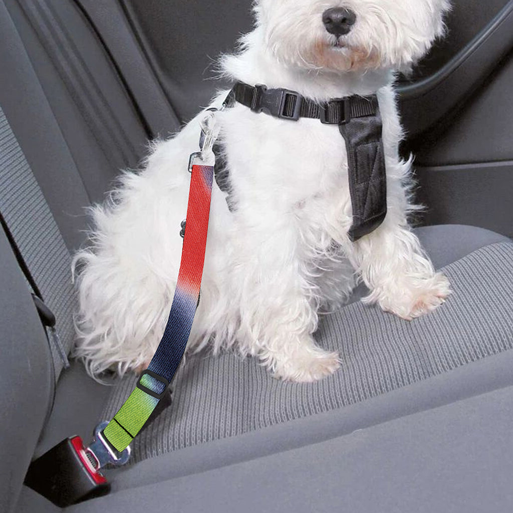 Black Backed Spiral Tie Dye Print Dog Seat Belt