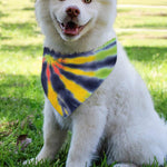 Black Backed Spiral Tie Dye Print Over The Collar Dog Bandana