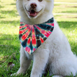 Black Backed Tie Dye Print Over The Collar Dog Bandana