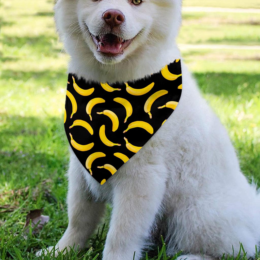 Black Banana Pattern Print Over The Collar Dog Bandana