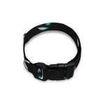 Black Cheshire Cat Pattern Print Dog Collar