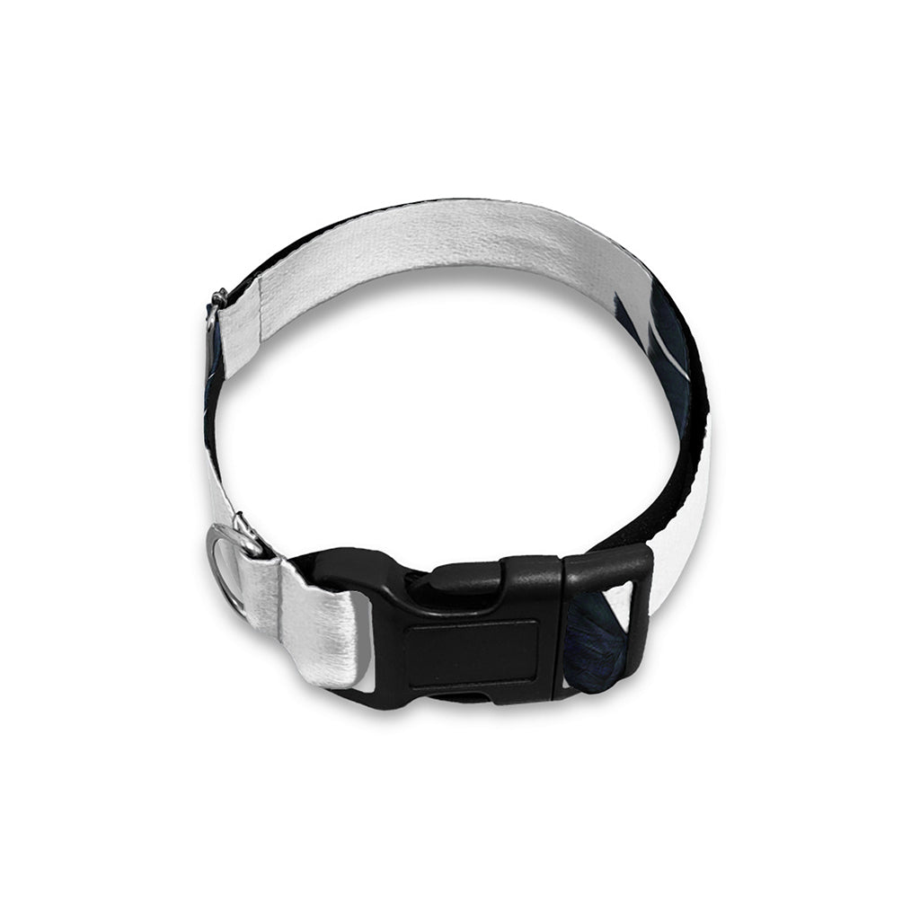 Black Demon Wings Print Dog Collar