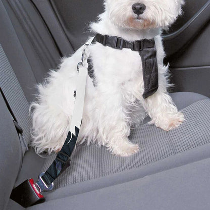 Black Demon Wings Print Dog Seat Belt