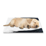 Black Demon Wings Print Pet Cooling Mat Cover