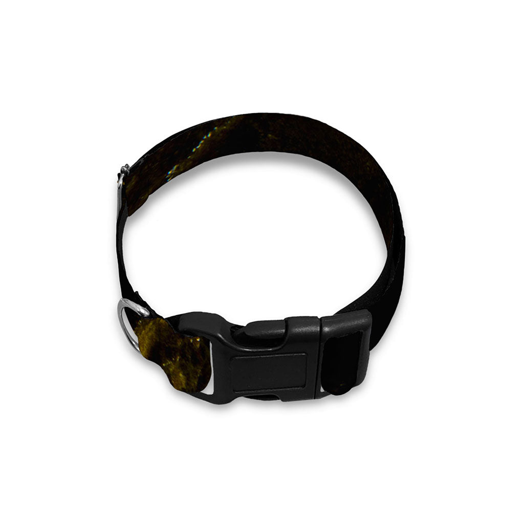 Black Gold Marble Print Dog Collar