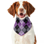 Black Grey And Violet Argyle Print Dog Bandana