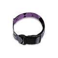 Black Grey And Violet Argyle Print Dog Collar
