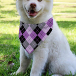 Black Grey And Violet Argyle Print Over The Collar Dog Bandana