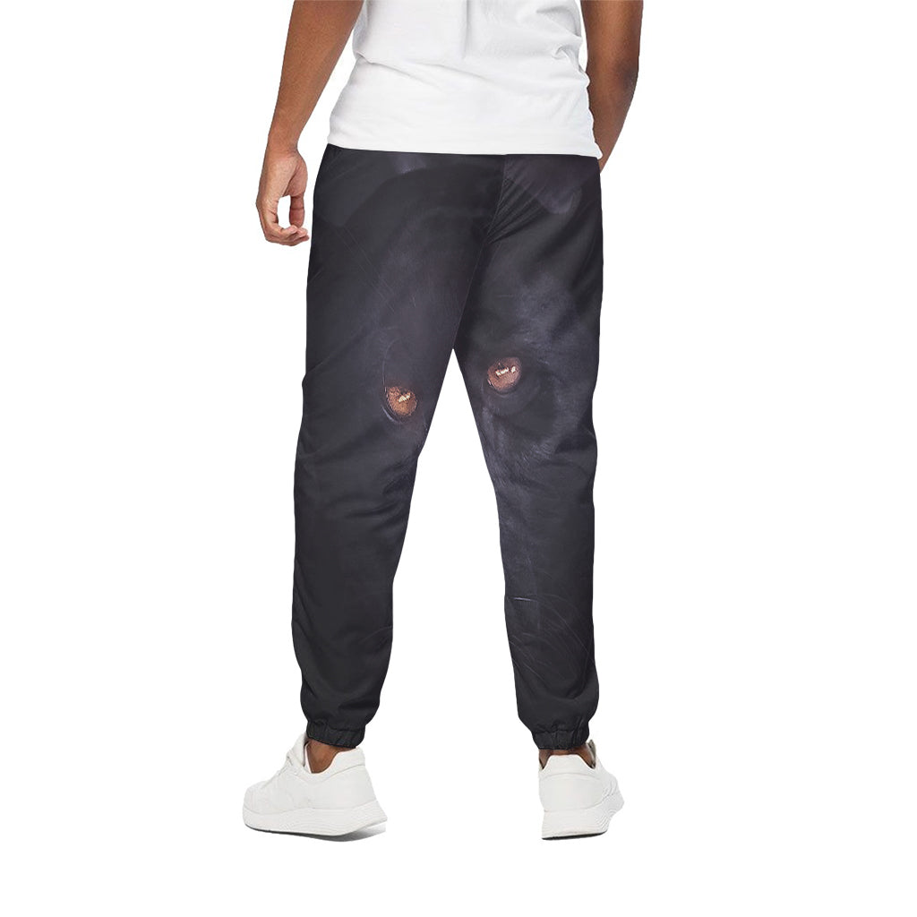 Black Jaguar Print Cotton Pants