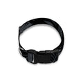 Black Palm Leaf Aloha Pattern Print Dog Collar
