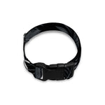 Black Palm Leaf Aloha Pattern Print Dog Collar