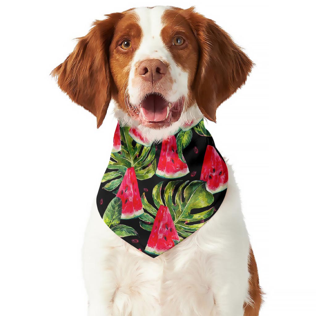 Black Palm Leaf Watermelon Pattern Print Dog Bandana