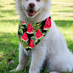 Black Palm Leaf Watermelon Pattern Print Over The Collar Dog Bandana