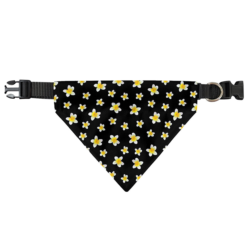 Black Plumeria Flower Pattern Print Over The Collar Dog Bandana